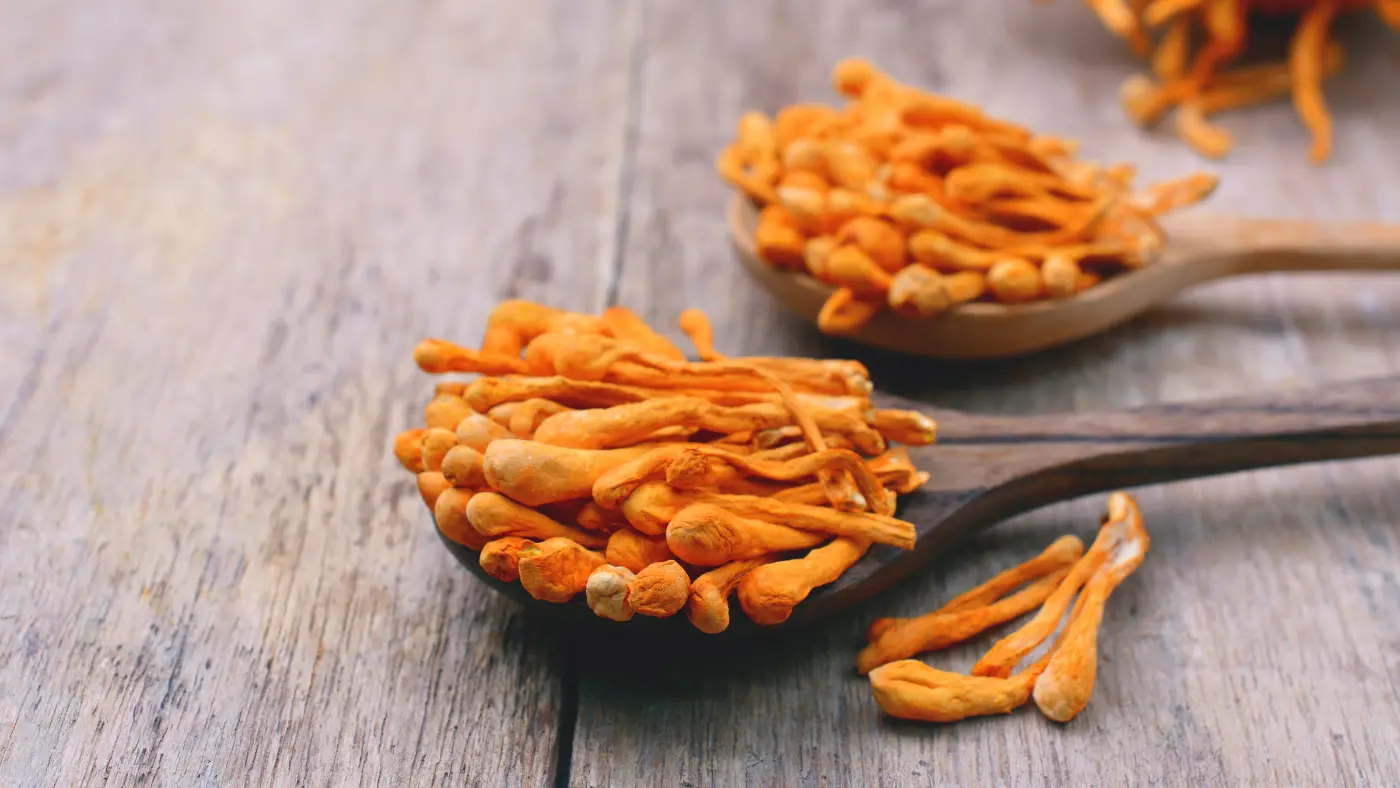 Cordyceps: El Hongo Medicinal para Rendimiento y Resistencia